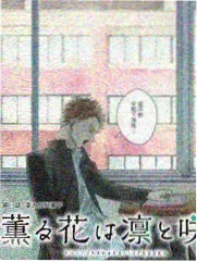 半熟恋人 第三期 情感抉择